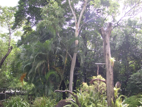 s_A_PICT0031.jpg